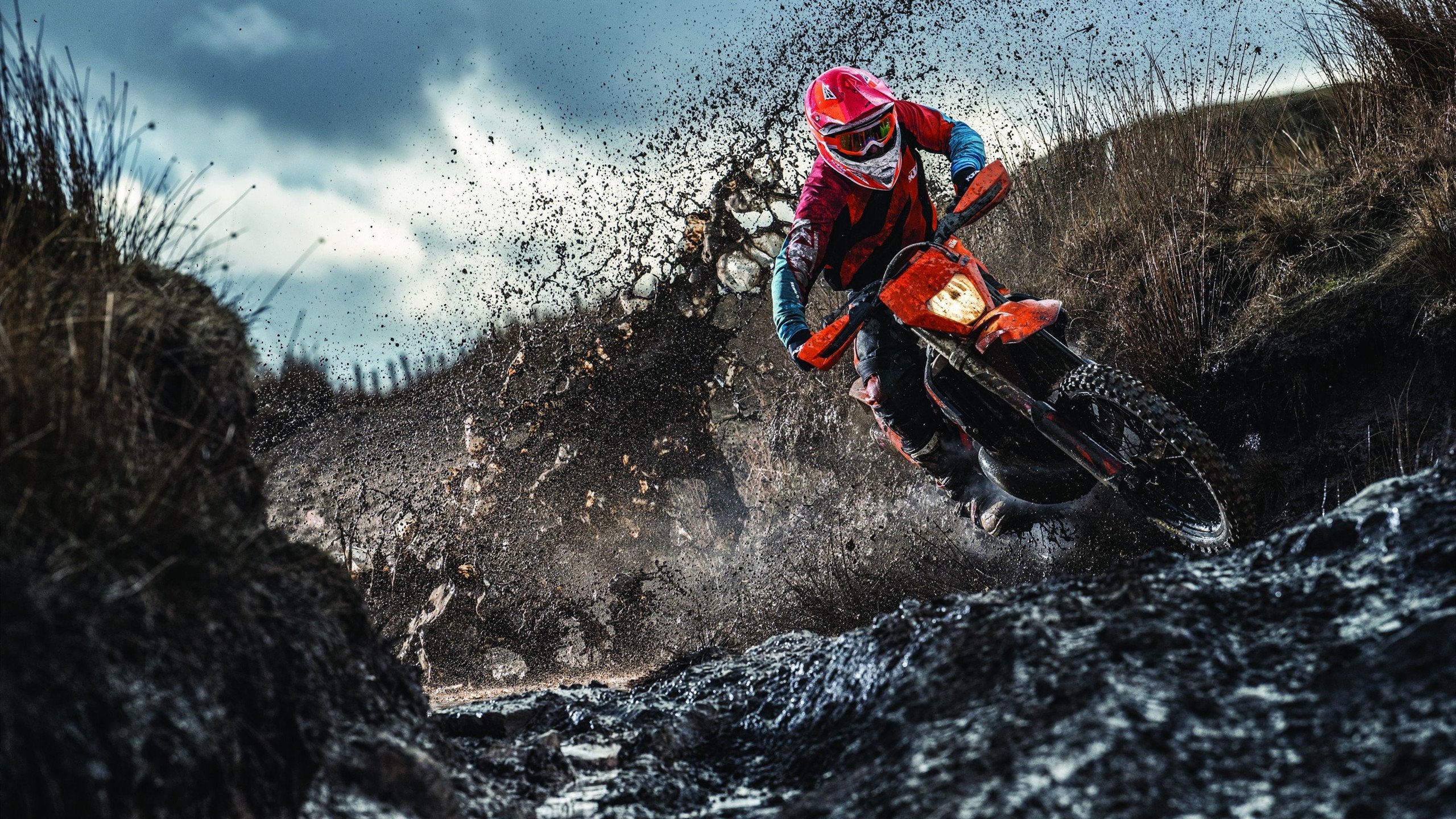 新闻中心拓展海外市场再获突破，开拓海外市场